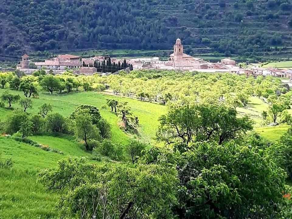 Las Moradas Del Temple Mirambel  Buitenkant foto